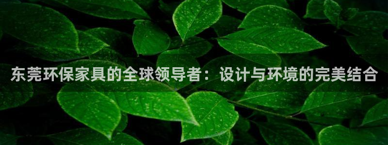 意昂5(KGAME)测速娱乐：东莞环保家具的全球领导者：设计