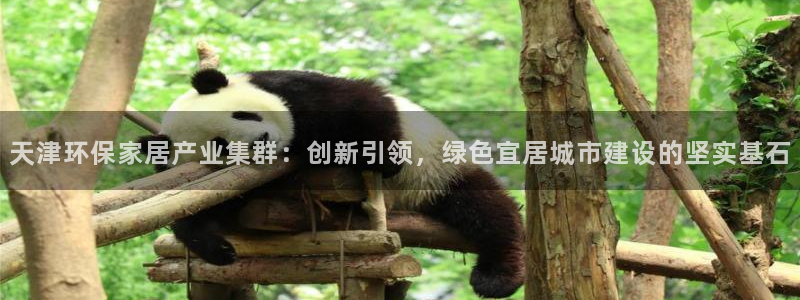 意昂5(KGAME)平台注册会员：天津环保家居产业集群：创新