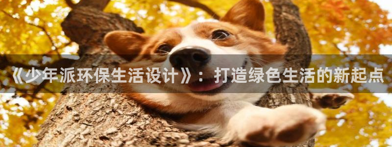 意昂5(KGAME)平台几年了：《少年派环保生活设计》：打造