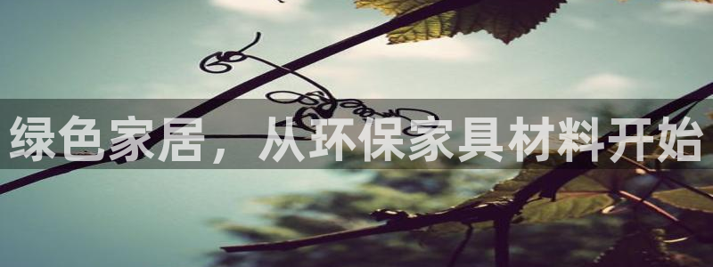 意昂5(KGAME)平台线路：绿色家居，从环保家具材料开始