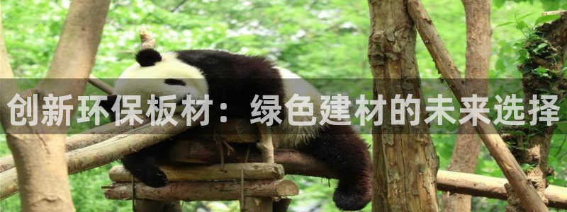 意昂5(KGAME)代理注册开户：创新环保板材：绿色建材的未