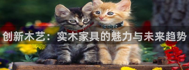 意昂5(KGAME)平台注册会员：创新木艺：实木家具的魅力与