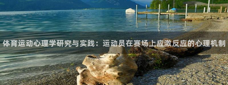 球客岛：体育运动心理学研究与实践：运动员在赛场上应激反应的心理机制