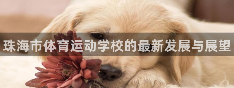 球客岛：珠海市体育运动学校的最新发展与展望