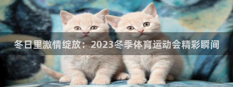 球客岛：冬日里激情绽放：2023冬季体育运动会精彩瞬间