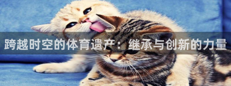 球客岛：跨越时空的体育遗产：继承与创新的力量