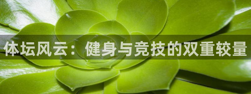 球客岛：体坛风云：健身与竞技的双重较量