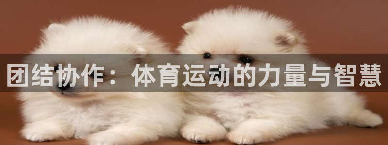 球客岛：团结协作：体育运动的力量与智慧